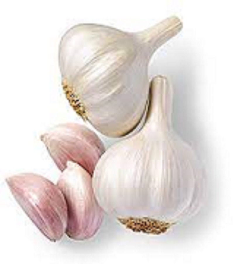 Garlic (Medium) / பூண்டு